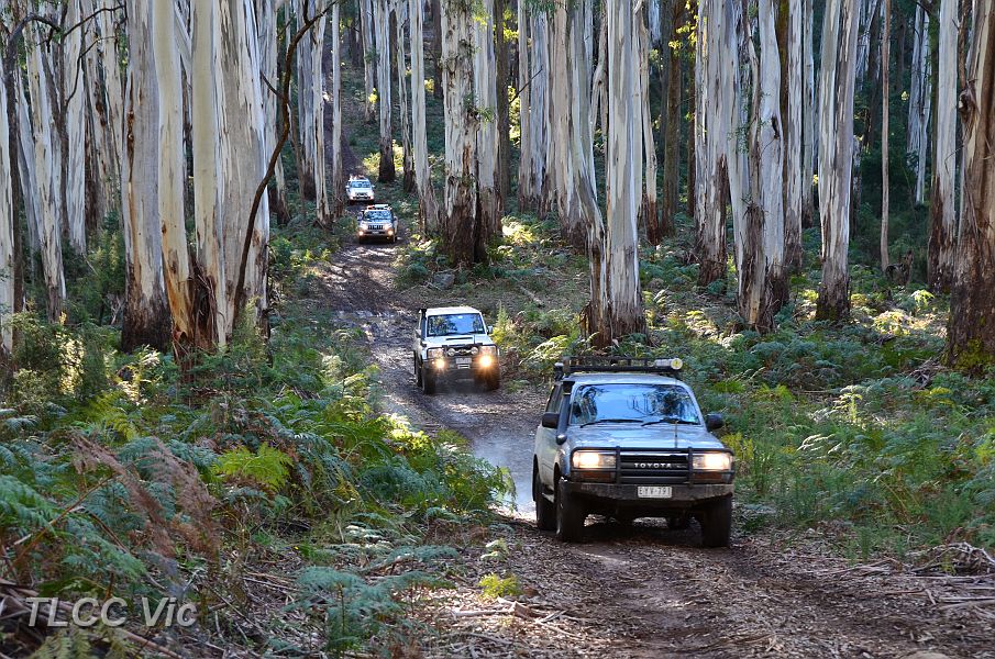 01-Convoy on Royston Range.JPG